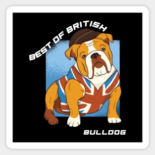 British bulldog wearing union jack vest Sticker